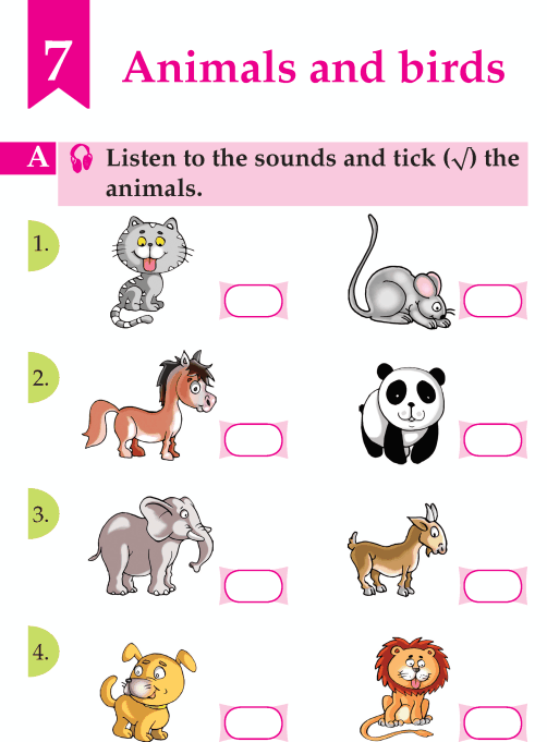 English Lesson Grade A Animals And Birds