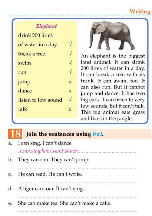 English Lesson Grade 2 Animal Athletes | English - Page 14