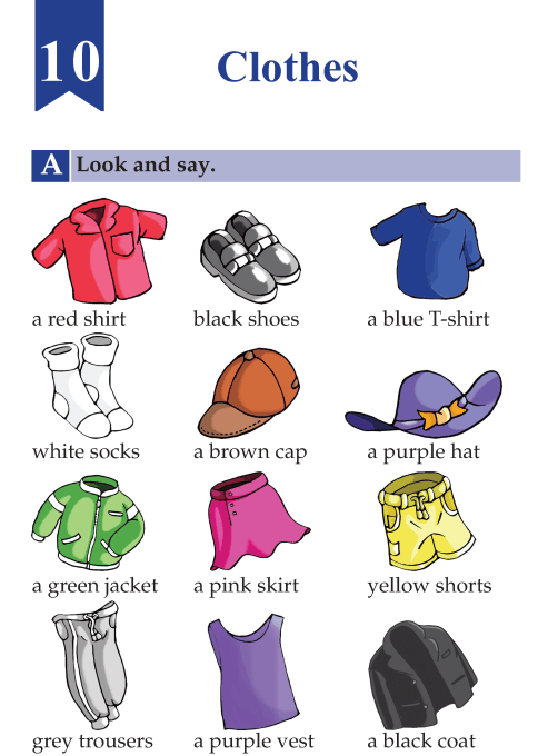 English Lesson Grade B Clothes
